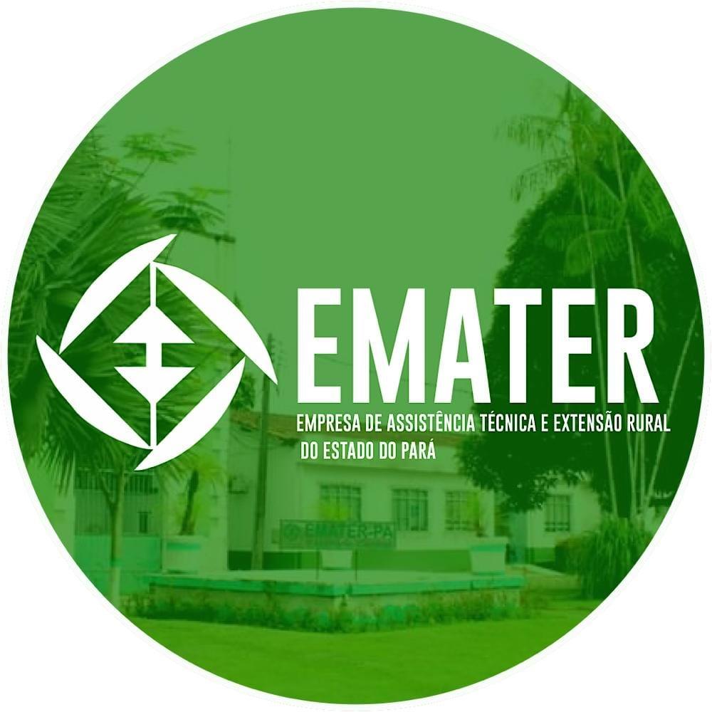 Processo Seletivo Simplificado N Emater Par N Vel