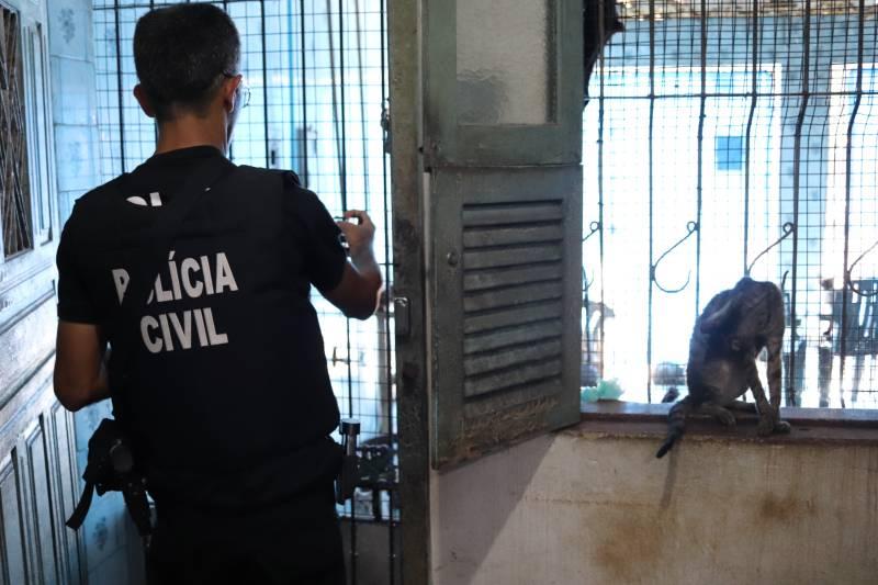 Polícias Civil e Científica vão às ruas apurar denúncias de maus-tratos contra animais