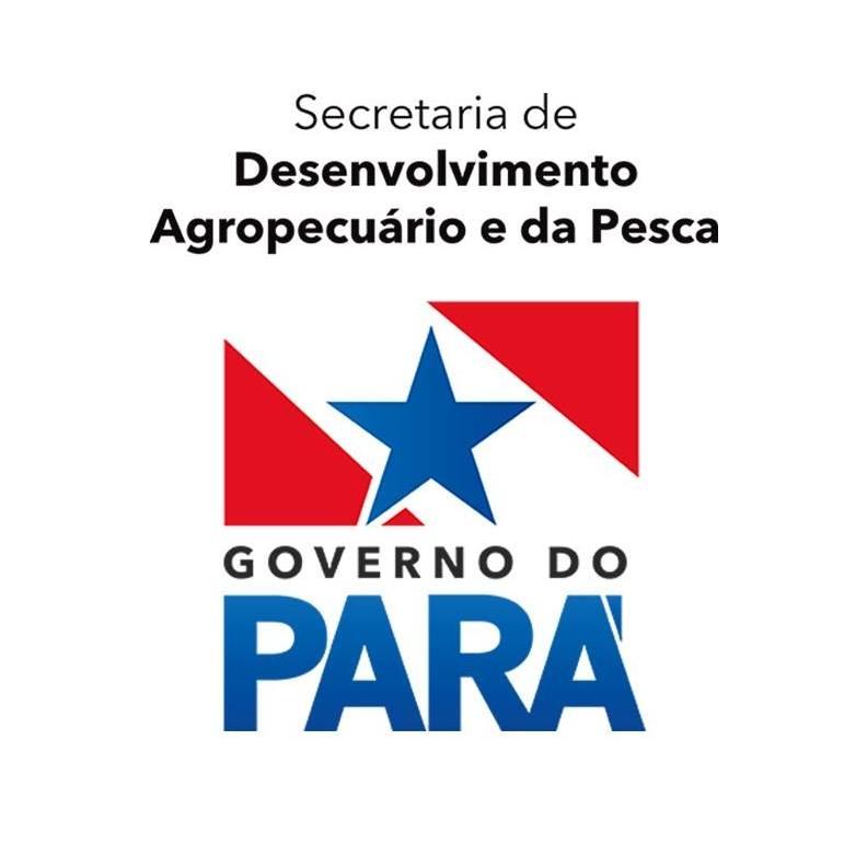 PSS -  SEDAP NIVEL SUPERIOR EDITAL  Nº 001/2023 