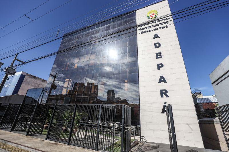PROCESSO SELETIVO SIMPLIFICADO nº 09/2023 – ADEPARÁ