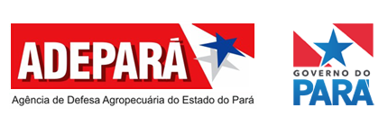10º PSS ADEPARÁ (AGÊNCIA DE DEFESA AGROPECUÁRIA DO PARÁ)